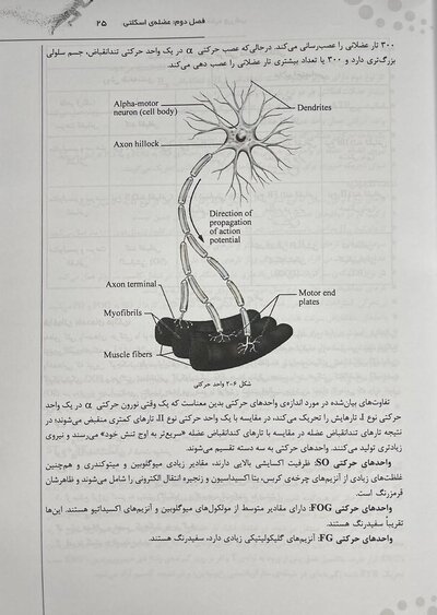 درسنامه جامع فیزیولوژی و تغذیه ورزشی