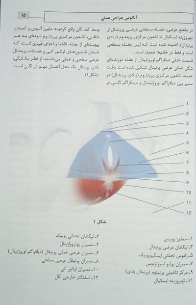 لابیاپلاستی کاربردی