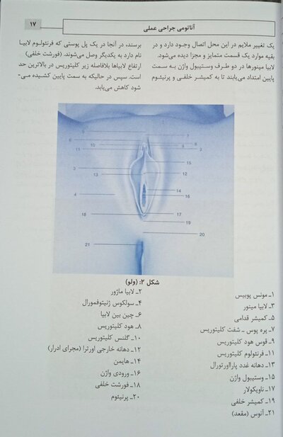 لابیاپلاستی کاربردی