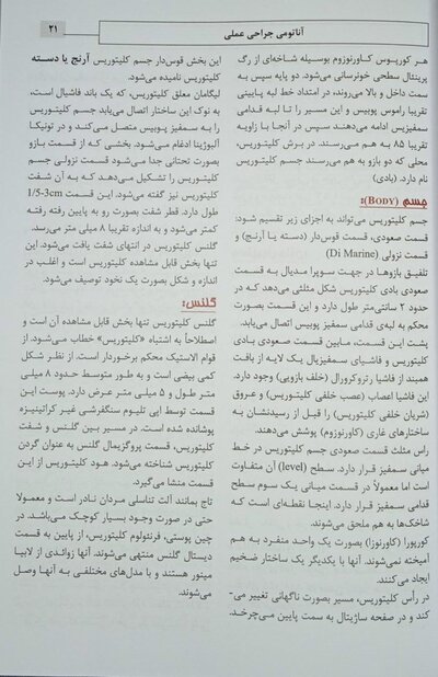 لابیاپلاستی کاربردی