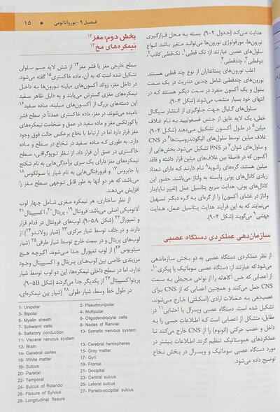 نوروآناتومی گری برای دانشجویان 2024 جلد چهارم