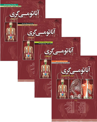 ترجمه کامل چهار جلدی آناتومی گری برای دانشجویان 2024 (حسن زاده)