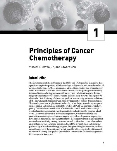 Physicians' Cancer Chemotherapy Drug Manual 2024 24th Edition