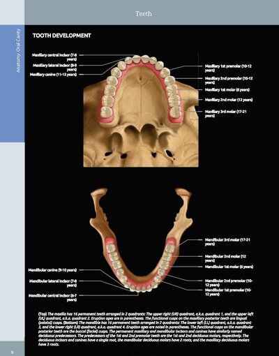 Diagnostic Imaging: Oral and Maxillofacial 3rd Edition