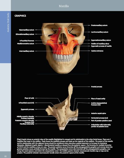 Diagnostic Imaging: Oral and Maxillofacial 3rd Edition