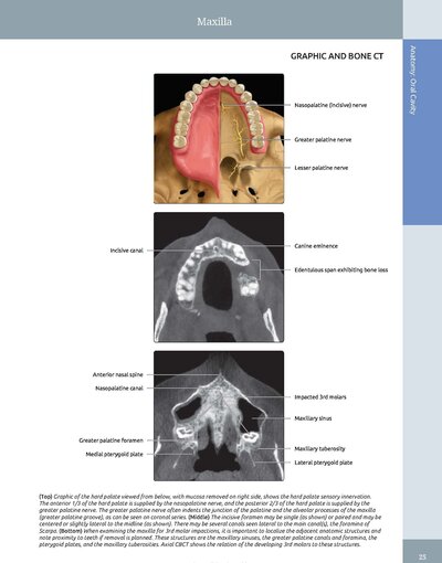 Diagnostic Imaging: Oral and Maxillofacial 3rd Edition
