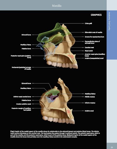 Diagnostic Imaging: Oral and Maxillofacial 3rd Edition