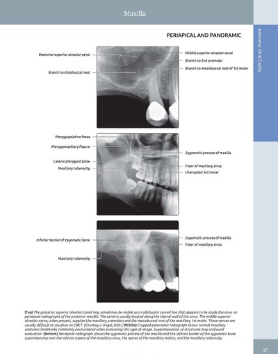 Diagnostic Imaging: Oral and Maxillofacial 3rd Edition