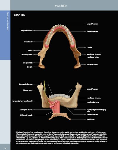 Diagnostic Imaging: Oral and Maxillofacial 3rd Edition