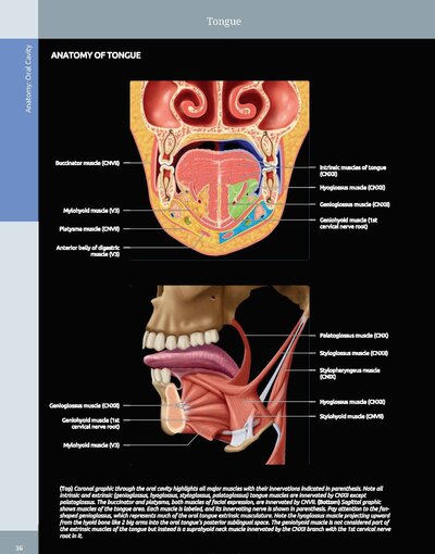 Diagnostic Imaging: Oral and Maxillofacial 3rd Edition