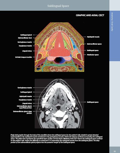 Diagnostic Imaging: Oral and Maxillofacial 3rd Edition