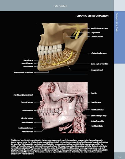 Diagnostic Imaging: Oral and Maxillofacial 3rd Edition