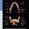 Diagnostic Imaging: Oral and Maxillofacial 3rd Edition