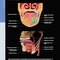 Diagnostic Imaging: Oral and Maxillofacial 3rd Edition