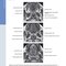 Diagnostic Imaging: Oral and Maxillofacial 3rd Edition