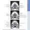 Diagnostic Imaging: Oral and Maxillofacial 3rd Edition