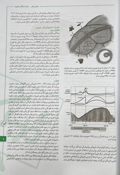 درسنامه سلامت روان زنان در دوران بارداری