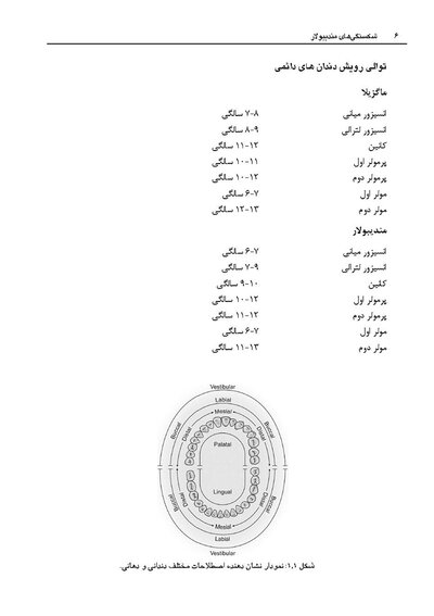 شکستگی های مندیبولار