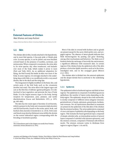 Anatomy and Histology of the Domestic Chicken