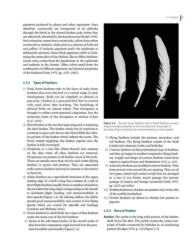 Anatomy and Histology of the Domestic Chicken