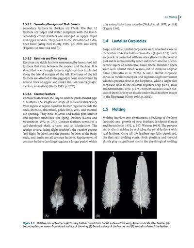 Anatomy and Histology of the Domestic Chicken