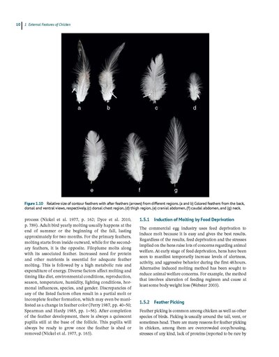 Anatomy and Histology of the Domestic Chicken