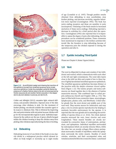Anatomy and Histology of the Domestic Chicken