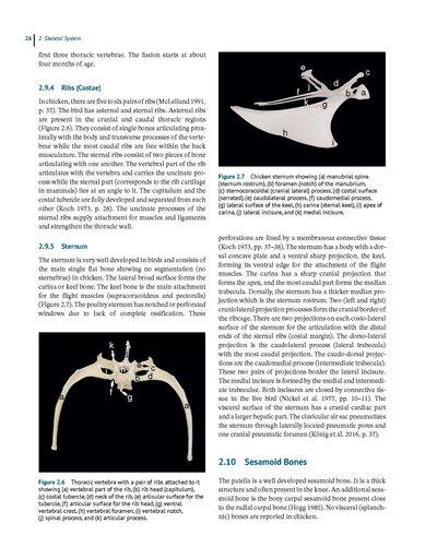 Anatomy and Histology of the Domestic Chicken