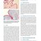 Anatomy and Histology of the Domestic Chicken