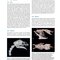 Anatomy and Histology of the Domestic Chicken