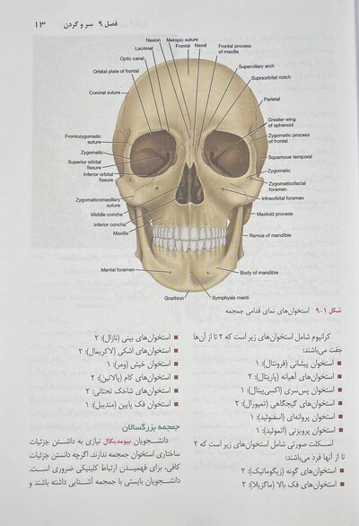 آناتومی بالینی اسنل سر و گردن 2025 جلد سوم عمیدی