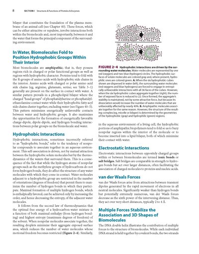 Harper's Illustrated Biochemistry, Thirty-33Edition