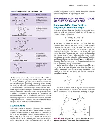 Harper's Illustrated Biochemistry, Thirty-33Edition