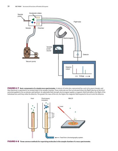 Harper's Illustrated Biochemistry, Thirty-33Edition