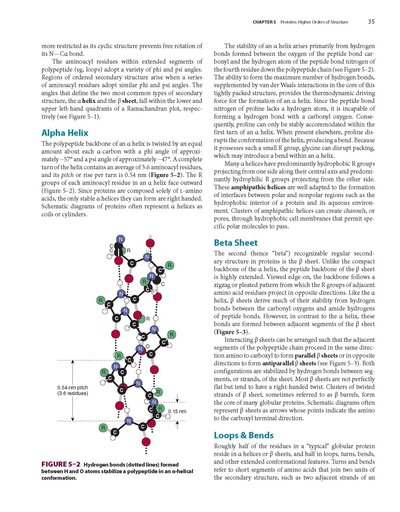 Harper's Illustrated Biochemistry, Thirty-33Edition