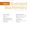 Harper's Illustrated Biochemistry, Thirty-33Edition