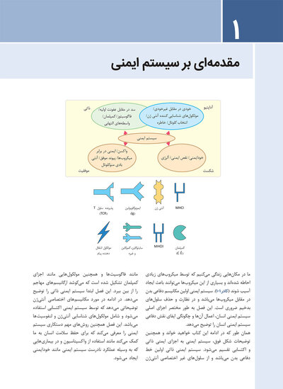 ایمونولوژی برای دانشجویان پزشکی هلبرت 2026
