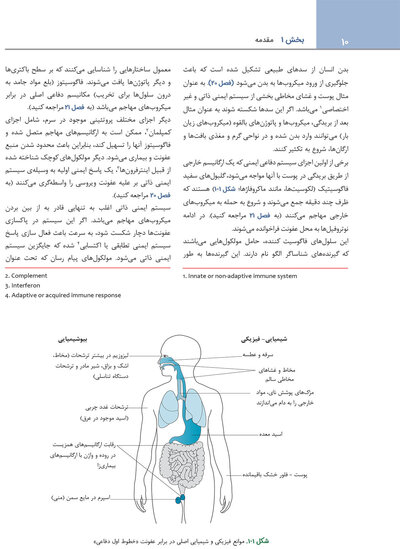 ایمونولوژی برای دانشجویان پزشکی هلبرت 2026