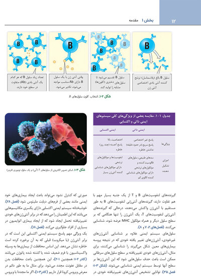 ایمونولوژی برای دانشجویان پزشکی هلبرت 2026