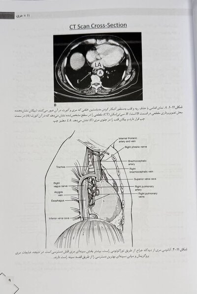 جراحی لارنس 2025 جلد 2