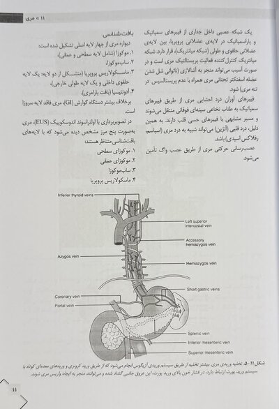 جراحی لارنس 2025 جلد 2