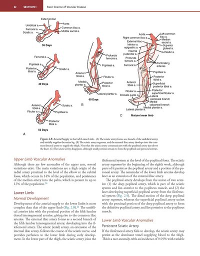 Rutherford's Vascular Surgery and Endovascular Therapy, 2-Volume Set
