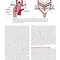 Rutherford's Vascular Surgery and Endovascular Therapy, 2-Volume Set