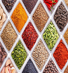 صنایع غذایی