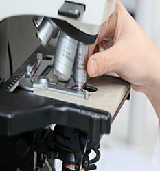 آسیب شناسی و علوم آزمایشگاهی - Pathology & Laboratory