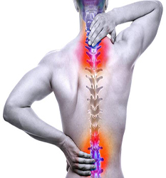 روماتولوژی - Rheumatology