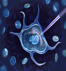 زیست و ژنتیک - Genetic & Biotechnology