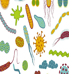 میکروب، باکتری، انگل، ویروس و قارچ شناسی - Microbiology, Bacteri, Virous & Parasitology