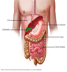 گوارش - Gastrointestinal