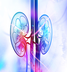 کلیه و اورولوژی - Nephrology & Urology